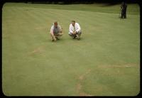 Cal Gruber and Jack Kreuger view a fairy ring in a golf green at Sharon Woods Golf Course, Cincinnati, 1953