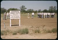 Attendees view turf research plots during the Texas Turf Association Field Day in Wichita Falls, 1953