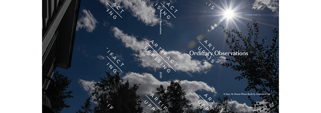 Ordinary Observations : A stay-At-Home Photo Book