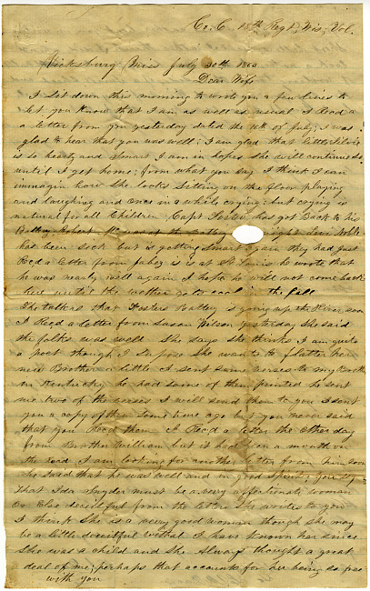 Thomas J. Davis Letter : July 30, 1863