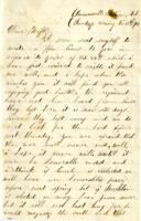 Eaegle Family Letter : November 13, 1864