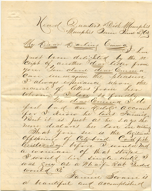 Mark Flower Letter : June 3 1863