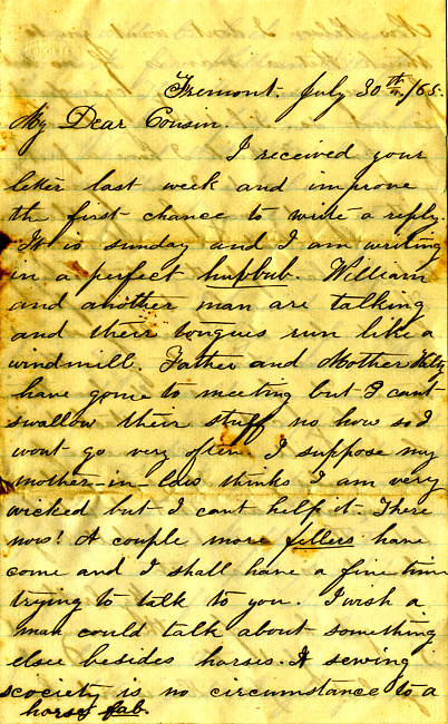 Havens Letter : July 30 1865 (2)