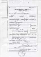 Daniel Doxtader Pension Records : Nereus Baldwin Death Certificate (April 1, 1901)