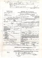Daniel Doxtader Pension Records : Matilda Baldwin Death Certificate (February 12, 1913)