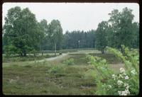 Bergen-Belsen Concentration Camp : View of past barracks locations