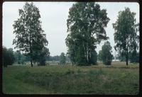 Bergen-Belsen Concentration Camp : View across site from site entry walk
