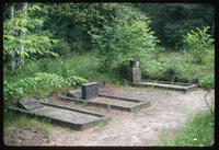 Bergen-Belsen Concentration Camp : Grave sites