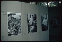 Bergen-Belsen Concentration Camp : Exhibition boards