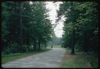 Bergen-Belsen Concentration Camp : Main entry walk from main entry gate