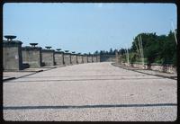 Buchenwald Concentration Camp : Broader view of landscape and stelae