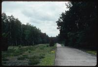 Chelmno Concentration Camp : Axis from main memorial to camp crematorium