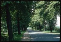 Neuengamme Concentration Camp : Entry road to the camp