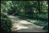 Neuengamme Concentration Camp : Visitor walkway to camp site