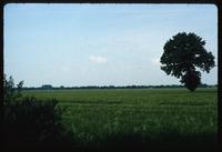 Neuengamme Concentration Camp : Off-site rural landscape