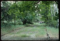 Belzec Concentration Camp : Polish students visiting the camp site