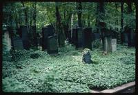 Weissensee Cemetery (Berlin, Germany) : Additional grave stones