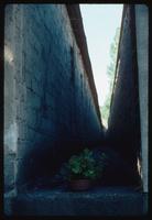 Ravensbrück Concentration Camp : Execution path