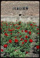 Ravensbrück Concentration Camp : Close-up of Italian wall commemoration