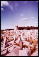 Treblinka Concentration Camp : "Satellite of Stones" and main memorial