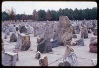 Treblinka Concentration Camp : Field of commemorative stones representing Polish cities