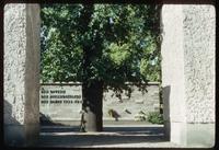 Plötzensee Prison (Berlin, Germany) : Entry memorial garden space and tree