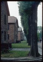Auschwitz Concentration Camp : Barracks row with main gate to the right