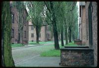 Auschwitz Concentration Camp : Further view of barracks row along the same camp road