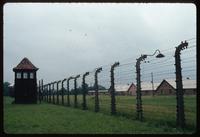 Birkenau Concentration Camp : Camp B1 electrified fence and guard tower