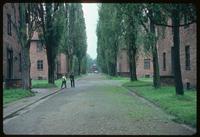 Auschwitz Concentration Camp : Barracks road spine at Auschwitz Camp 1