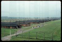 Birkenau Concentration Camp : Tourist group in camp B2
