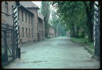 Auschwitz Concentration Camp : View from the main entry gate into the barracks (blocks) rows