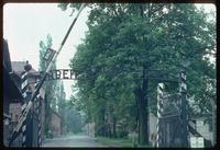 Auschwitz Concentration Camp : View through the main entry gate at Auschwitz 1