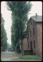 Auschwitz Concentration Camp : Barracks row with main gate to the left
