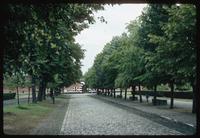 Theresienstadt Concentration Camp : Treed entry walk near main entry gate