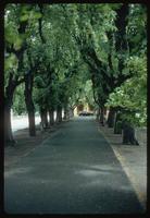 Theresienstadt Concentration Camp : Treed entry walk from parking area to fortress/camp