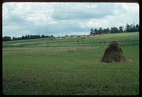 Sobibór Concentration Camp : Farm fields near Sobibor