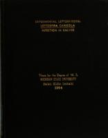 Experimental leptospirosis : Leptospira canicola infection in calves