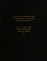 Purification and characterization of DNA-dependent RNA polymerase from Pseudomonas putida A.3.12