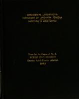 Experimental leptospirosis : pathology of Leptospira pomona infection in male cattle