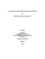 Palladium-catalyzed PMHS reductions of imines