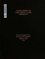 Functional changes in the adrenal cortex of the aging laboratory rat