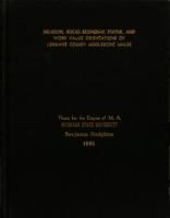 Religion, socio-economic status, and work value orientations of Lenawee County adolescent males