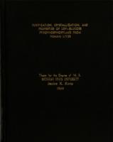 Purification, crystallization, and properties of UDP-glucose pyrophosphorylase from human liver