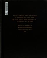 The effectiveness of mental practice used in conjunction with audio-visual and visual practice in the development of the forehand drive in tennis