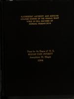 Flourescent antibody and acridine orange studies of the human wart virus in cell cultures of normal human skin