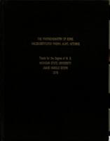 The photochemistry of some halosubstituted phenyl alkyl ketones