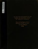 The relation of blindness to the social & economic status of families in Michigan