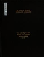 The biology of Solierella plenoculoides plenoculoides