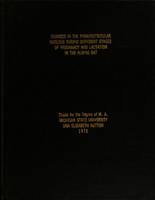 Changes in the paraventricular nucleus during different stages of pregnancy and lactation in the albino rat